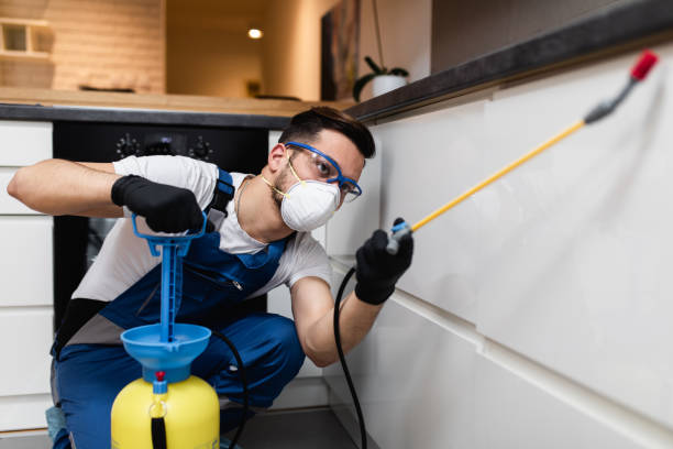Best Best Pest Control Companies  in Blackwood, NJ