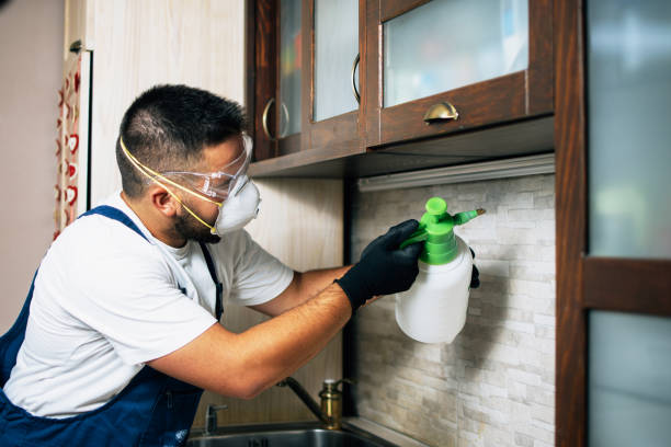 Best Flea Control Services  in Blackwood, NJ