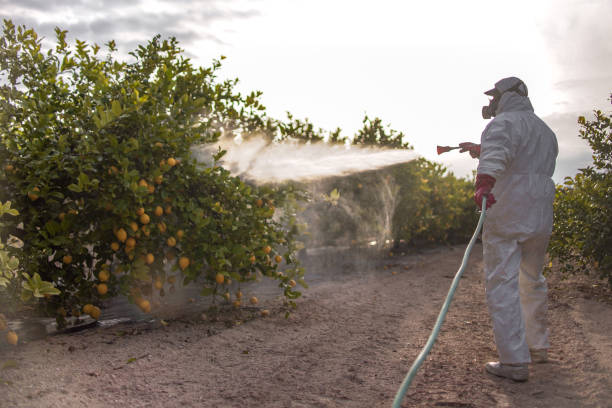 Professional Pest Control in Blackwood, NJ