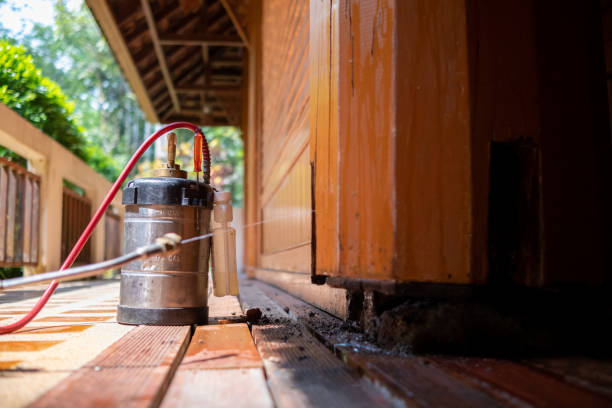 Pest Control for Restaurants in Blackwood, NJ