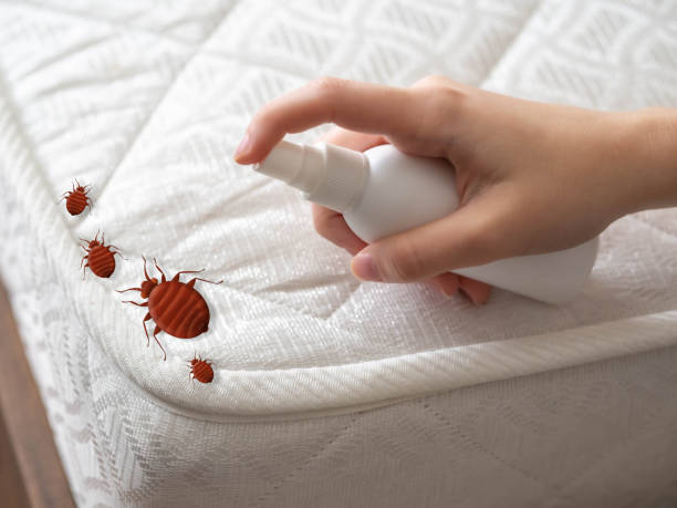 Best Commercial Pest Control Services  in Blackwood, NJ