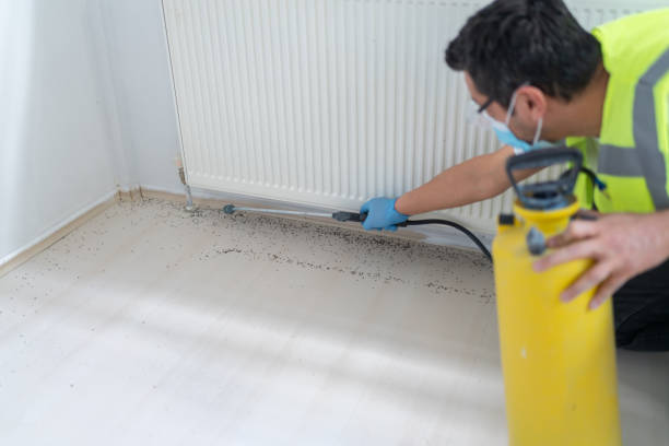 Best Insect Control  in Blackwood, NJ