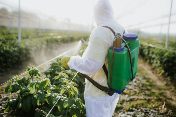 Best Emergency Pest Control  in Blackwood, NJ